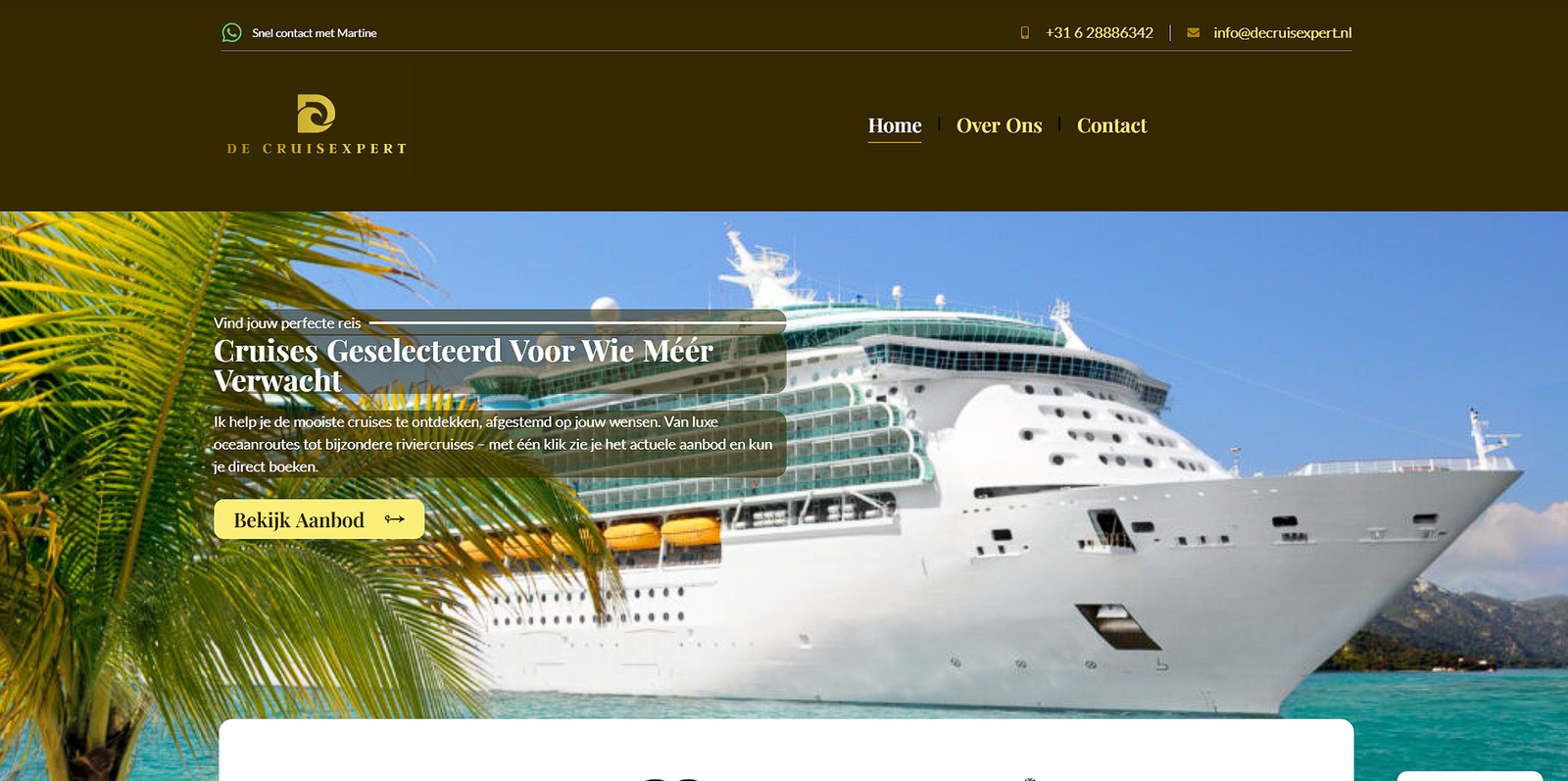 website laten maken voor een reisbureau